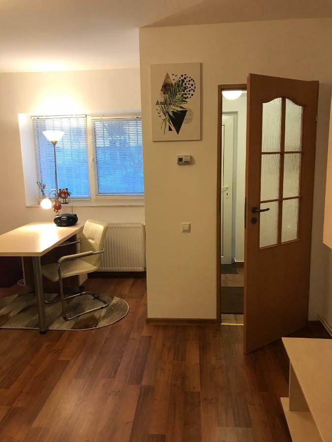 Idefix Apartment Cluj-Napoca Exterior photo